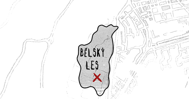 Bělský les